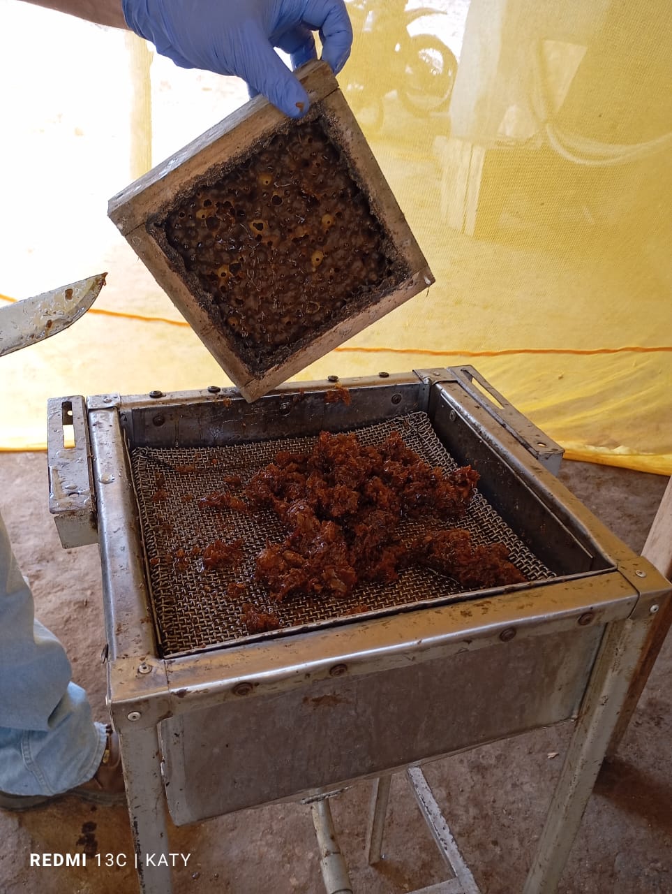 Fresh Honey Combs